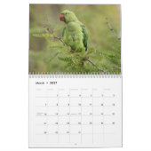 Calendrier des oiseaux 2025 (Mar 2027)