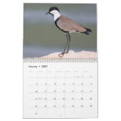 Calendrier des oiseaux 2025 (Jan 2027)