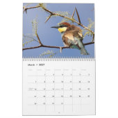 Calendrier des oiseaux 2026 (Mar 2027)