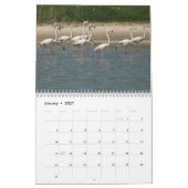 Calendrier des oiseaux 2026 (Jan 2027)