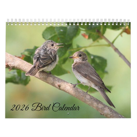 Calendrier des oiseaux 2026 (Protection)