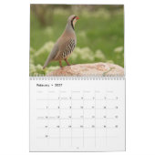 Calendrier des oiseaux 2026 (Feb 2027)