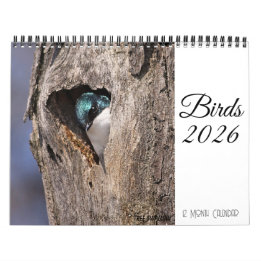Calendrier des oiseaux 2026