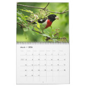 Calendrier des oiseaux 2026 (Mar 2026)