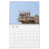 Calendrier des oiseaux 2026 (Mar 2026)