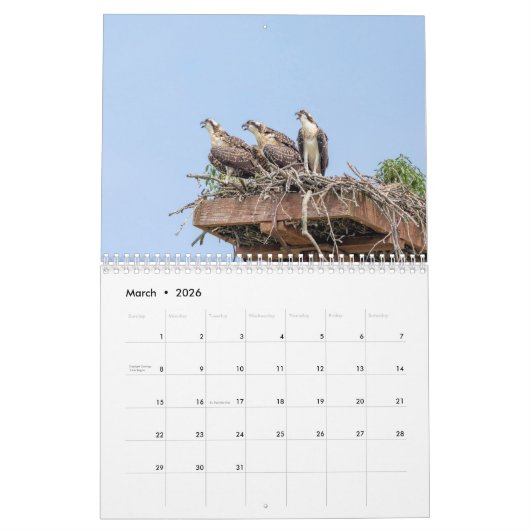 Calendrier des oiseaux 2026 (Mar 2026)