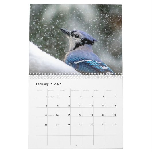 Calendrier des oiseaux 2026 (Feb 2026)