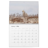 Calendrier des oiseaux 2026 (Jan 2026)