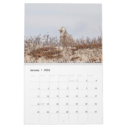Calendrier des oiseaux 2026 (Jan 2026)