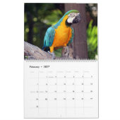 Calendrier des oiseaux 2026 (Feb 2027)