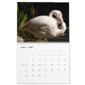 Calendrier des oiseaux 2026 (Mar 2027)