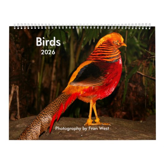 Calendrier des oiseaux 2026 (Protection)
