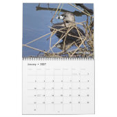 Calendrier des oiseaux 2027 (Jan 2027)