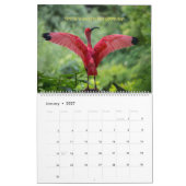 Calendrier des oiseaux 2027 - Avec des versets bib (Jan 2027)
