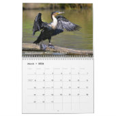 Calendrier des oiseaux aquatiques (Mar 2026)