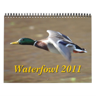 Calendrier des oiseaux aquatiques 2011