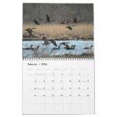 Calendrier des oiseaux aquatiques 2011 (Feb 2026)
