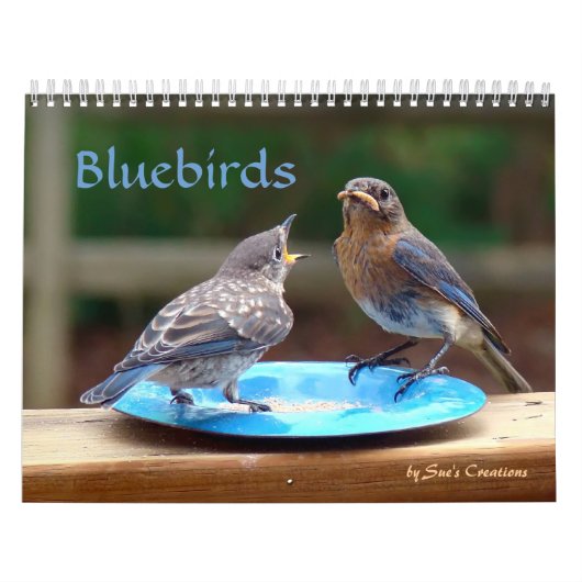 Calendrier des oiseaux bleus (Protection)