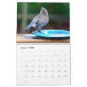 Calendrier des oiseaux bleus (Jan 2027)