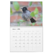 Calendrier des oiseaux chanteurs 2024 (Mar 2026)