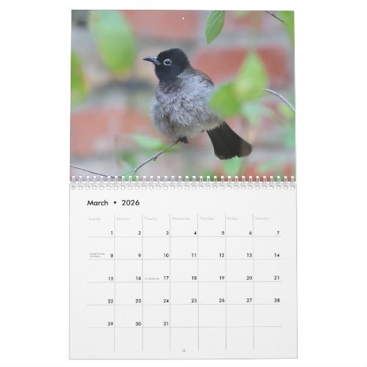 Calendrier des oiseaux chanteurs 2024 (Mar 2026)
