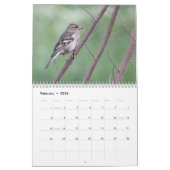 Calendrier des oiseaux chanteurs 2024 (Feb 2026)