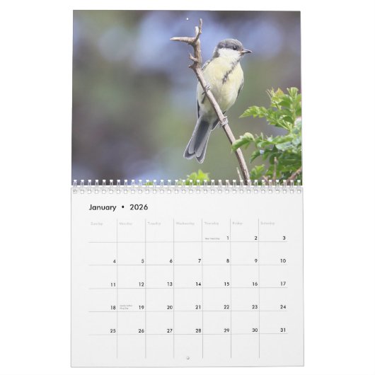 Calendrier des oiseaux chanteurs 2024 (Jan 2026)