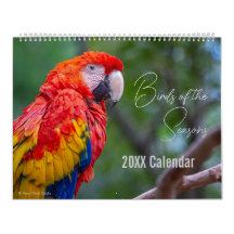 Calendrier des oiseaux Choisissez votre mois / ann
