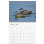 Calendrier des oiseaux d'Amérique du Nord (Jan 2027)