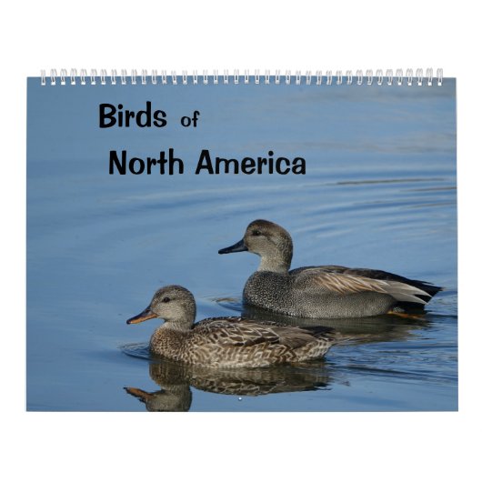 Calendrier des oiseaux d'Amérique du Nord (Protection)