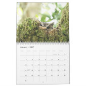 Calendrier des oiseaux d'Amérique du Nord (Jan 2027)