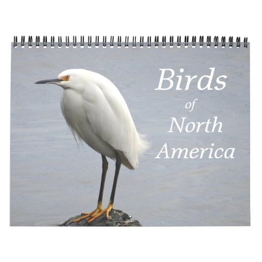 Calendrier des oiseaux d'Amérique du Nord (Protection)