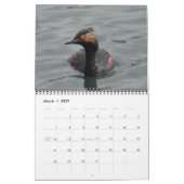 Calendrier des oiseaux d'Amérique du Nord (Mar 2027)