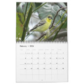 Calendrier des oiseaux d'Amérique du Nord (Feb 2026)