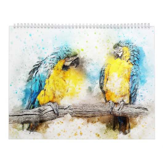 Calendrier des oiseaux d'aquarelle (Protection)
