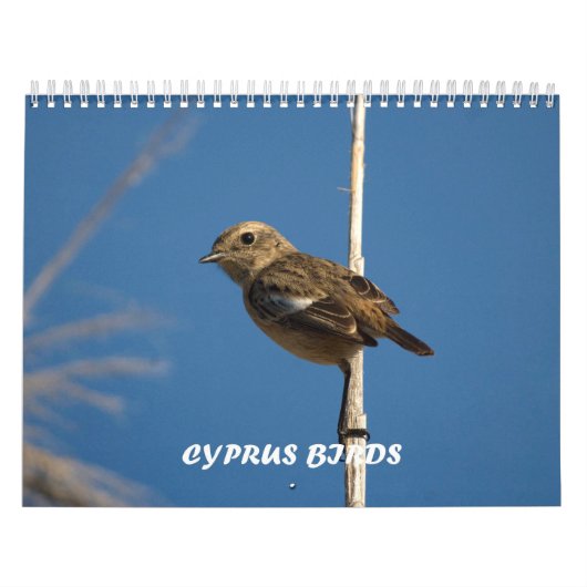 Calendrier des oiseaux de Chypre (Protection)