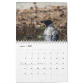 Calendrier des oiseaux de Chypre (Mar 2027)