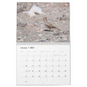 Calendrier des oiseaux de Chypre (Jan 2027)