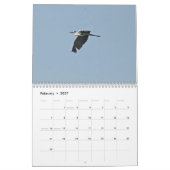 Calendrier des oiseaux de Chypre (Feb 2027)