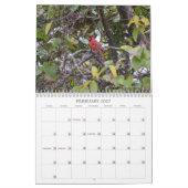 Calendrier des oiseaux de cour arrière (Feb 2027)