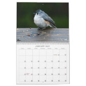 Calendrier des oiseaux de cour arrière (Jan 2027)