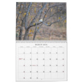 Calendrier des oiseaux de cour arrière (Mar 2026)