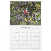 Calendrier des oiseaux de cour arrière (Feb 2026)