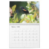 Calendrier des oiseaux de la côte Est (Feb 2026)