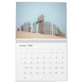 Calendrier des oiseaux de la côte Est (Jan 2027)