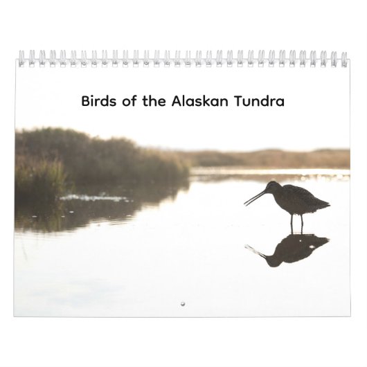 Calendrier des oiseaux de la toundra alaskienne (Protection)