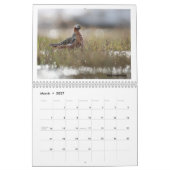 Calendrier des oiseaux de la toundra alaskienne (Mar 2027)