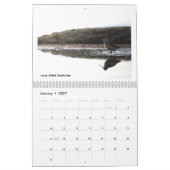 Calendrier des oiseaux de la toundra alaskienne (Jan 2027)