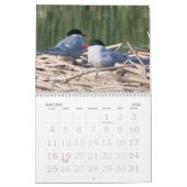 Calendrier des oiseaux de l'Alaska (Jan 2026)
