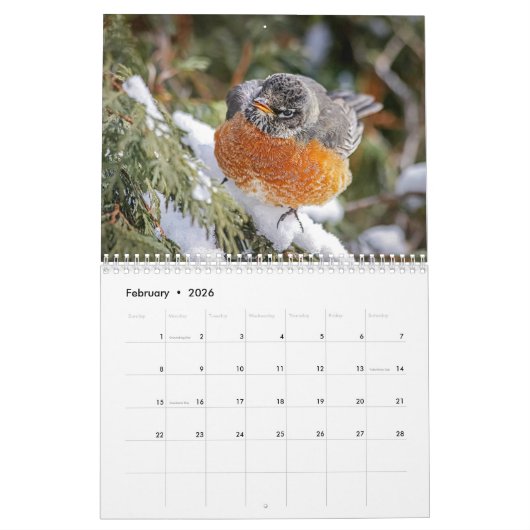 Calendrier des oiseaux de l'Amérique du Nord 2026 (Feb 2026)